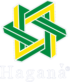 Haganá Serviços Especiais