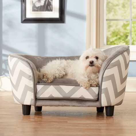 Sofá para cachorro: estofado pode ser um charme na decoração - VKR  Empreendimentos