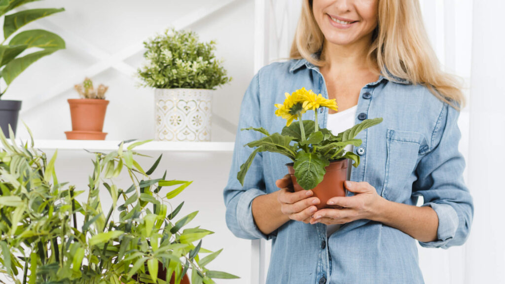 Decoração de primavera